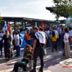 Auchan Casamassima