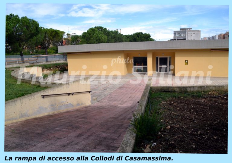 La Collodi: una scuola.
