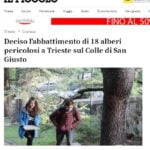 Cattura_1