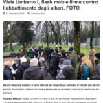 Cattura_13