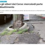 Cattura_8