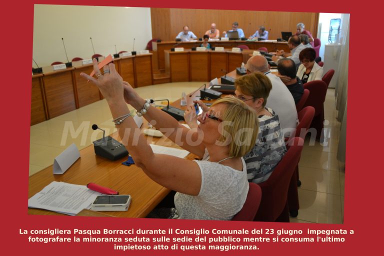 Il Consiglio come l’assemblea di condominio