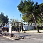 Abbattimento alberi