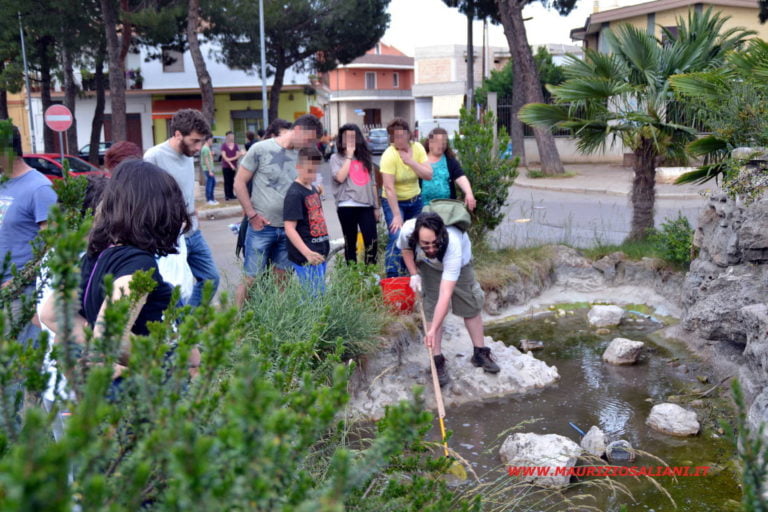 Rotonda via Conversano: sono trascorsi 5 anni, ma ancora niente.