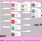 FACSIMILE CAMERA RIDOTTO PER WEB