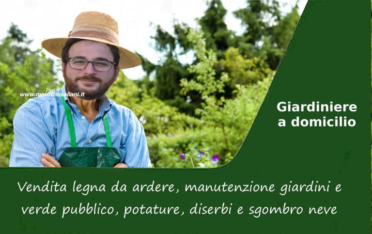 Sindaco o giardiniere a domicilio? Sindaco o giardiniere a domicilio?