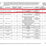 REGIONE PUGLIA Allegato B pag 3 (FILEminimizer)