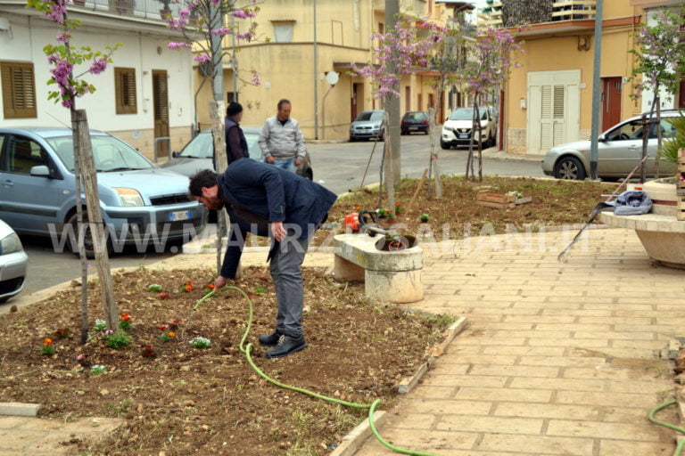 Vito Mazzei e il sindaco giardiniere a cui piace il cemento.