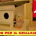falco grillaio nido RIDOTTO PER WEB