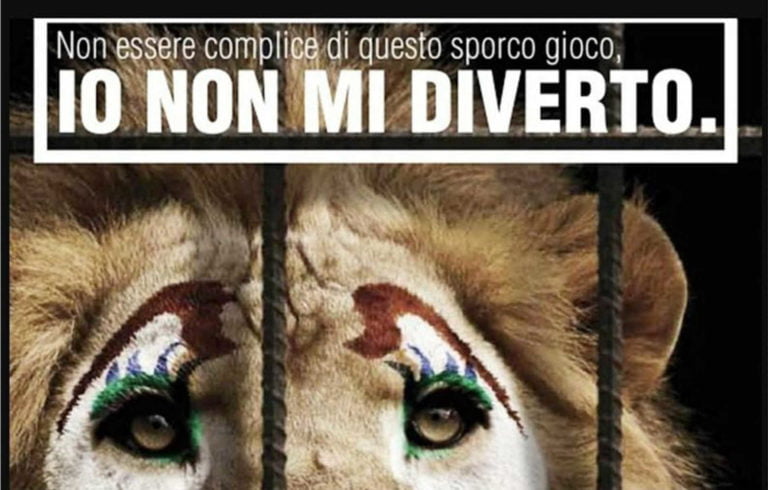 Appello al sindaco G. Nitti: NO al circo con gli animali.